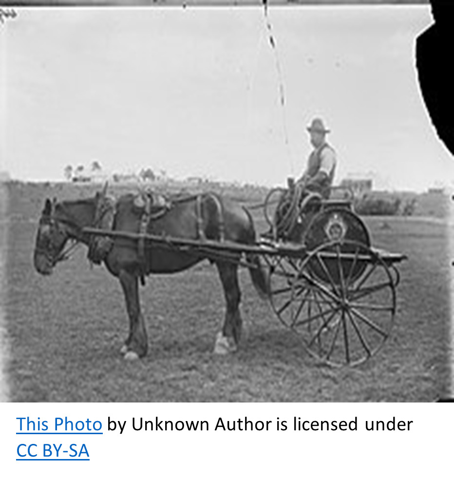 Vintage horse and buggy in a farm field 